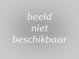 Nederlands voor doctorandi