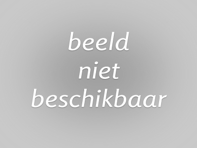 partnerwerking talen.jpg